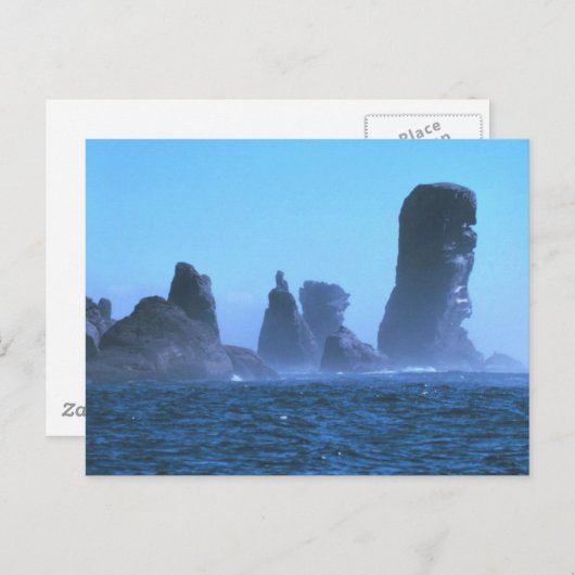 Cape Flattery Postkarte (Vorne/Hinten)