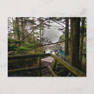 Cape Flattery Trail Olympische Halbinsel Postkarte