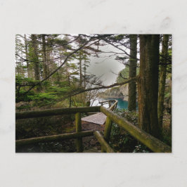 Cape Flattery Trail Olympische Halbinsel Postkarte