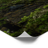 Cape Flattery, Washington Staat Poster (Ecke)