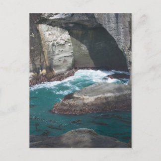 Cape Flattery Washington Staat Postkarte