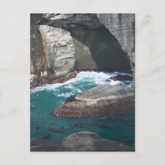 Cape Flattery Washington Staat Postkarte (Vorderseite)