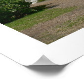 Cape Florida Lighthouse II Poster (Ecke)