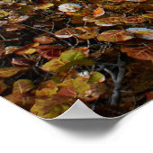 Cape Florida Lighthouse Poster (Ecke)