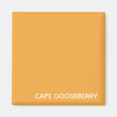 Cape Gooseberry, gelbe Farbe Magnet (Vorne)