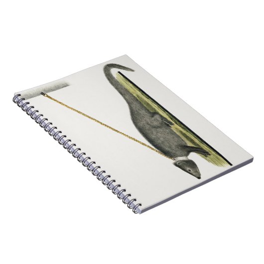 Cape Gray Mongoose Notizblock (Rechte Seite)