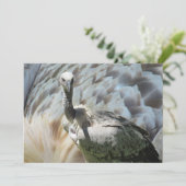 Cape Griffon Vulture Flat Card (Stehend Vorderseite)