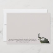 Cape Griffon Vulture Flat Card (Rückseite)