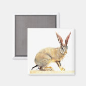 Cape Hare 2010 2 Magnet (Vorderseite/Rückseite)