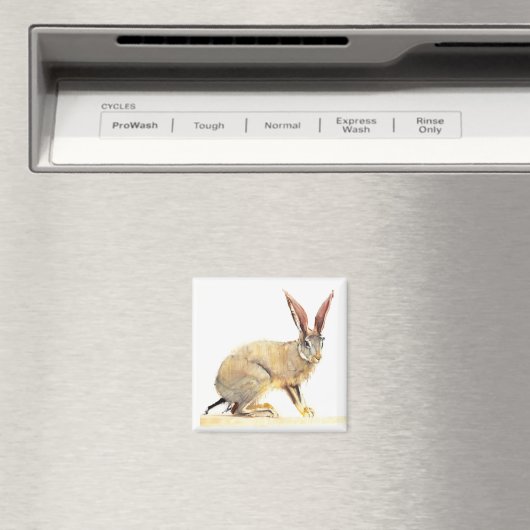Cape Hare 2010 2 Magnet (In Situ (Geschirrspüler))