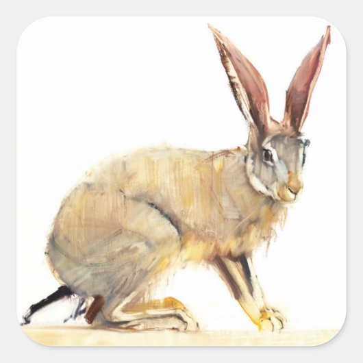 Cape Hare 2010 2 Quadratischer Aufkleber (Vorderseite)