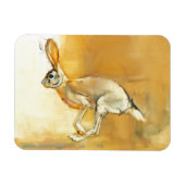 Cape Hare 2010 Magnet (Horizontal)