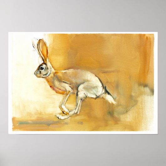 Cape Hare 2010 Poster (Vorne)
