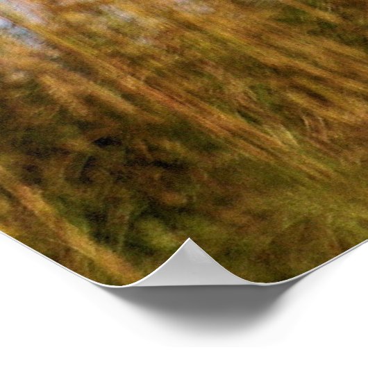 Cape Hatteras Lighthouse - Dünenansicht Poster (Ecke)