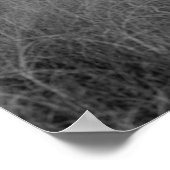 Cape Hatteras Lighthouse Poster (Ecke)