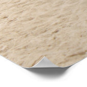 Cape Henlopen Light Poster (Ecke)