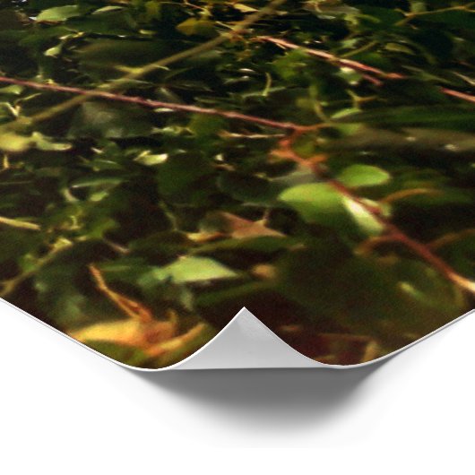 Cape Henry Lighthouse Poster (Ecke)