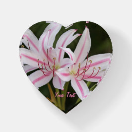 Cape Lilies Heart Glass Paperweight Briefbeschwerer