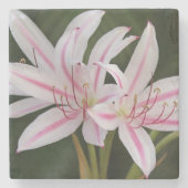 Cape Lily Steinuntersetzer (Vorderseite)