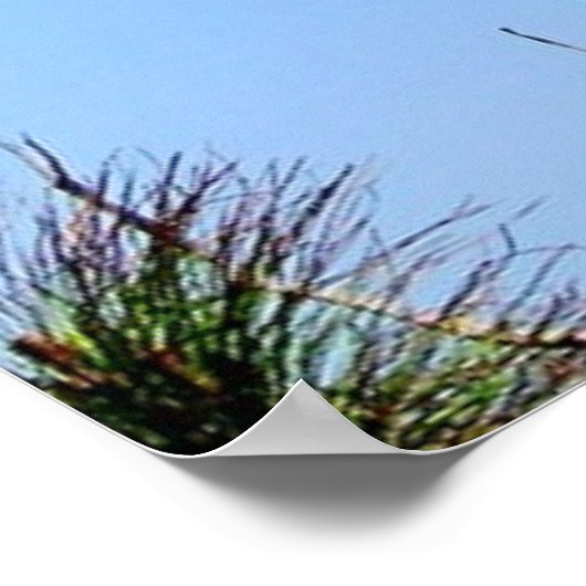 Cape Lookout Poster (Ecke)