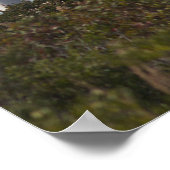 Cape May Lighthouse Poster (Ecke)