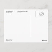 Cape May Lighthouse Postkarten (Rückseite)