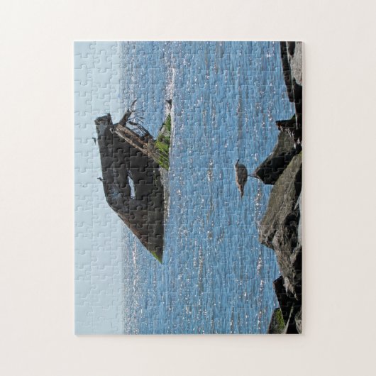 Cape May Schiffbruch Puzzle (Vertikal)
