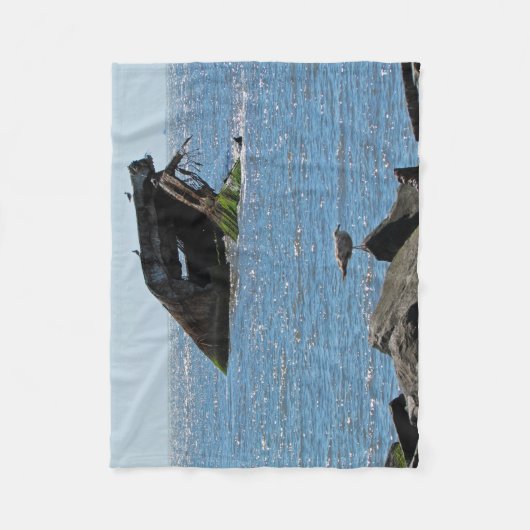 Cape May Shipwreck Fleecedecke (Vorderseite)