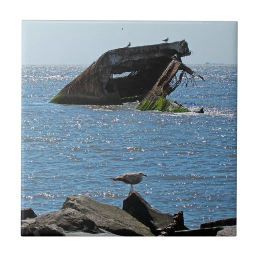 Cape May Shipwreck Fliese (Vorderseite)