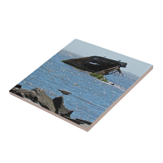 Cape May Shipwreck Fliese (Seite)