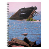 Cape May Shipwreck Postcard Notizblock (Vorderseite)