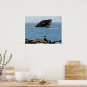 Cape May Shipwreck Poster (Küche)