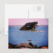 Cape May Shipwreck Postkarte (Vorne/Hinten)