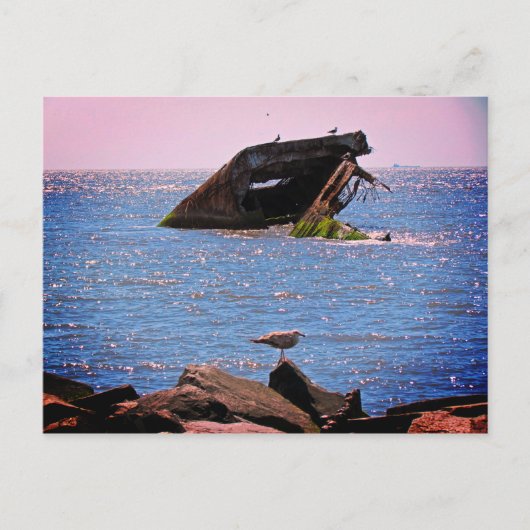 Cape May Shipwreck Postkarte (Vorderseite)