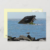 Cape May Shipwreck Postkarte (Vorne/Hinten)