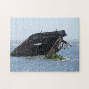 Cape May Shipwreck Puzzle
