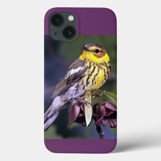Cape May Warbler Bird Liebhaber Geschenke Case-Mate iPhone Hülle (Rückseite)