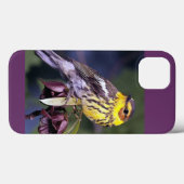 Cape May Warbler Bird Liebhaber Geschenke Case-Mate iPhone Hülle (Rückseite (Horizontal))