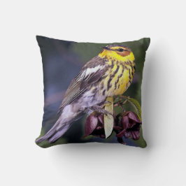 Cape May Warbler Bird Liebhaber Geschenke Kissen