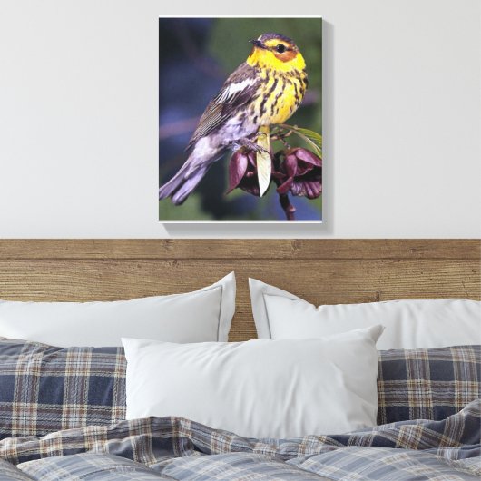 Cape May Warbler Bird Liebhaber Geschenke Leinwanddruck (Insitu (Schlafzimmer))