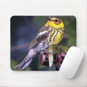 Cape May Warbler Bird Liebhaber Geschenke Mousepad (Mit Mouse)