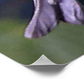 Cape May Warbler Bird Lovers Poster (Ecke)