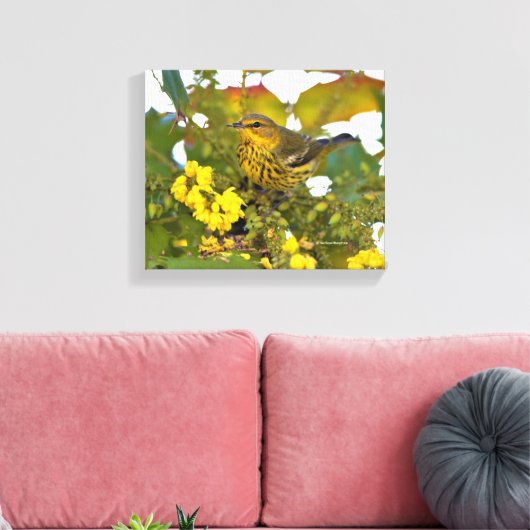 Cape May Warbler mit dem blühenden Mahonia Leinwanddruck (Insitu (Wohnzimmer))