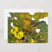 Cape May Warbler Songbird mit blühendem Mahonia Postkarte (Vorne/Hinten)