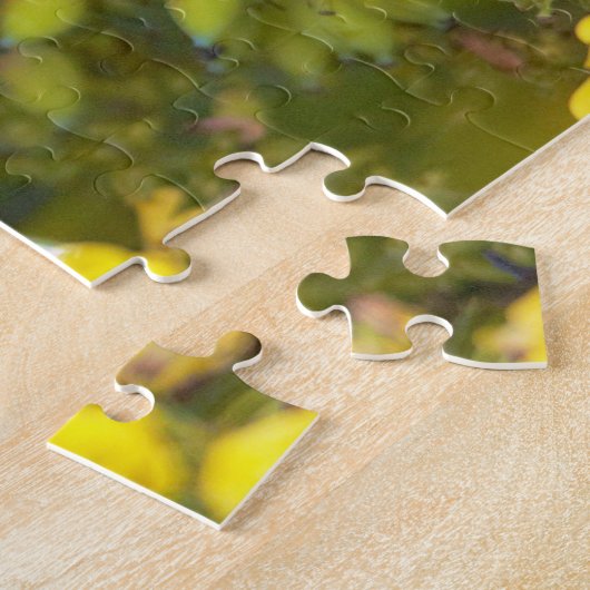 Cape May Warbler Songbird mit blühendem Mahonia Puzzle (Seite)