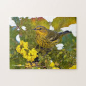 Cape May Warbler Songbird mit blühendem Mahonia Puzzle (Horizontal)