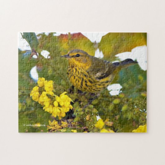 Cape May Warbler Songbird mit blühendem Mahonia Puzzle (Horizontal)