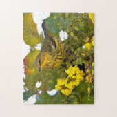 Cape May Warbler Songbird mit blühendem Mahonia Puzzle (Vertikal)