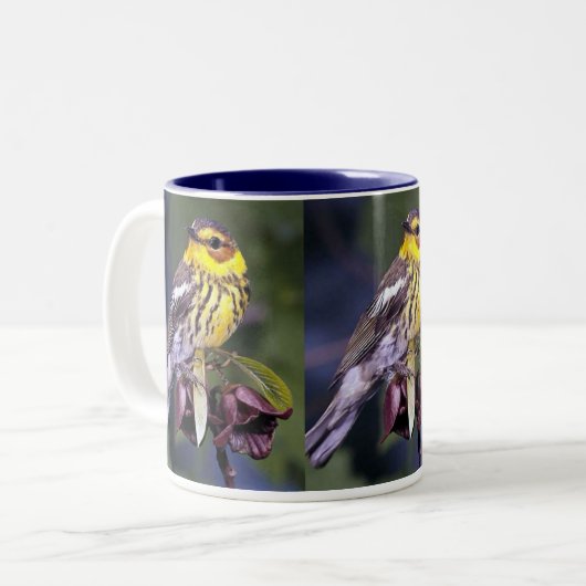 Cape May Warbler, Vogelarten Zweifarbige Tasse (Vorderseite Links)