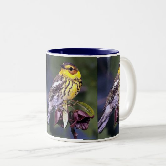 Cape May Warbler, Vogelarten Zweifarbige Tasse (VorderseiteRechts)
